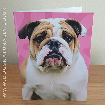 Bulldog Jazzy Greetings Card